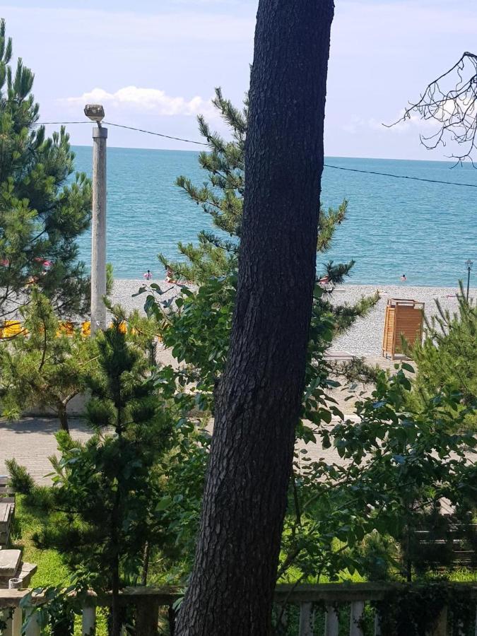 Midia Guest House Kobuleti Dış mekan fotoğraf