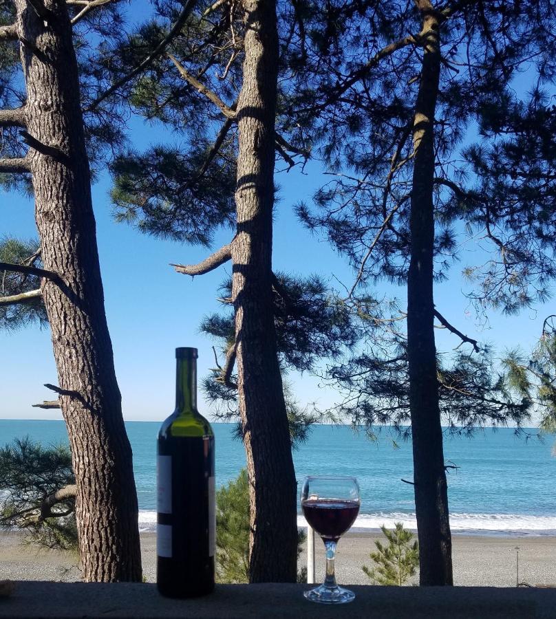 Midia Guest House Kobuleti Dış mekan fotoğraf