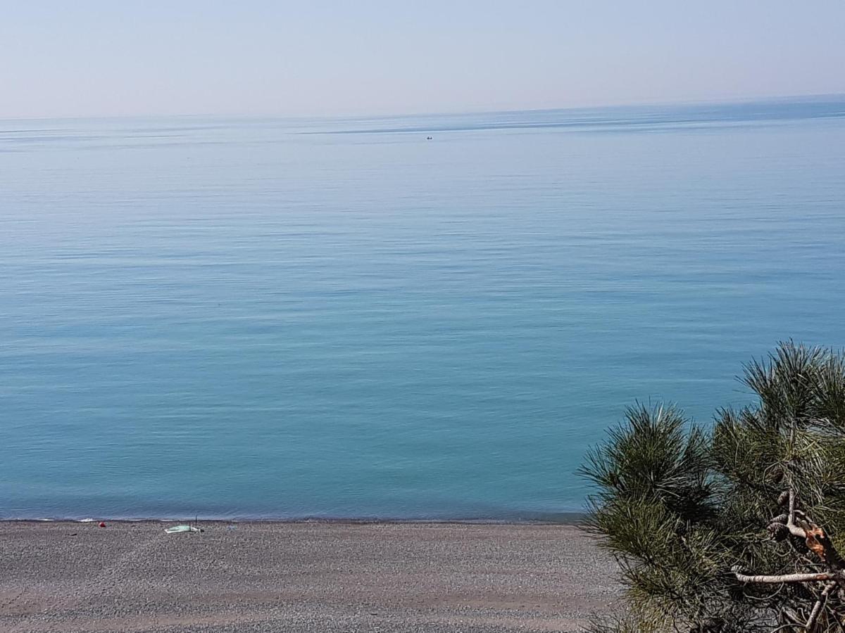 Midia Guest House Kobuleti Dış mekan fotoğraf