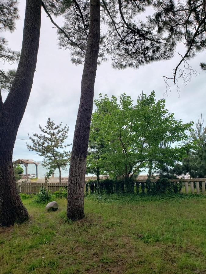 Midia Guest House Kobuleti Dış mekan fotoğraf
