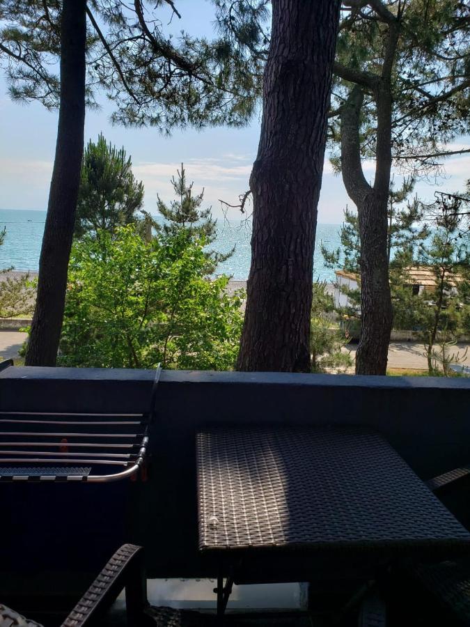 Midia Guest House Kobuleti Dış mekan fotoğraf