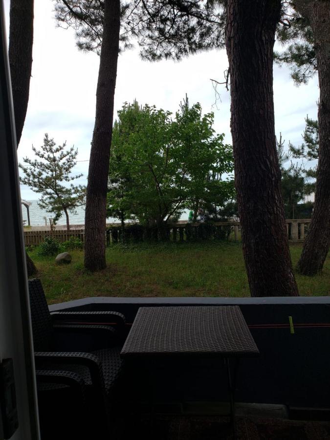 Midia Guest House Kobuleti Dış mekan fotoğraf