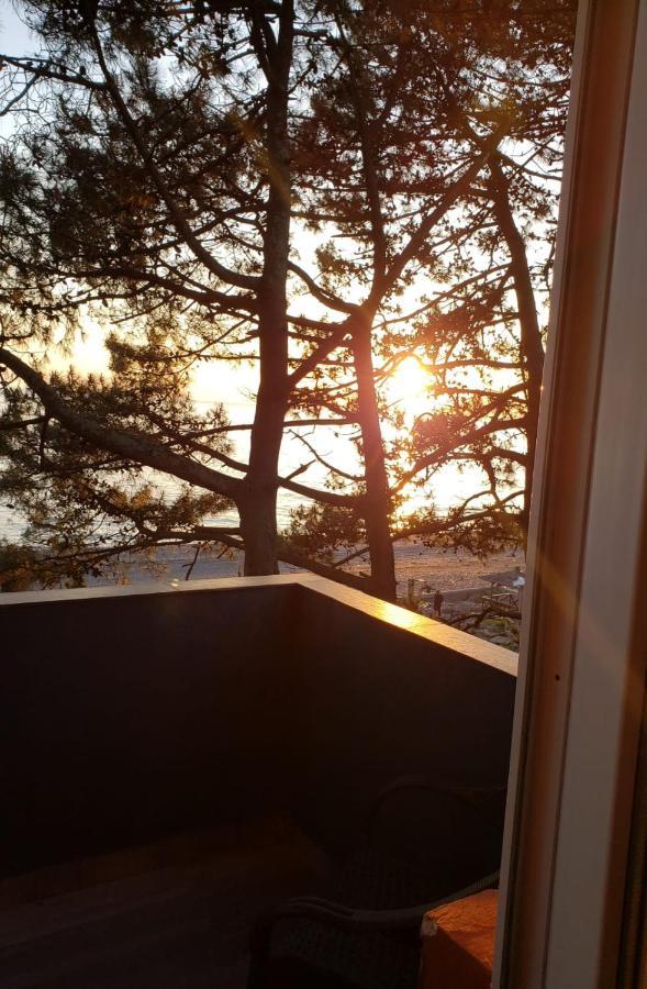 Midia Guest House Kobuleti Dış mekan fotoğraf