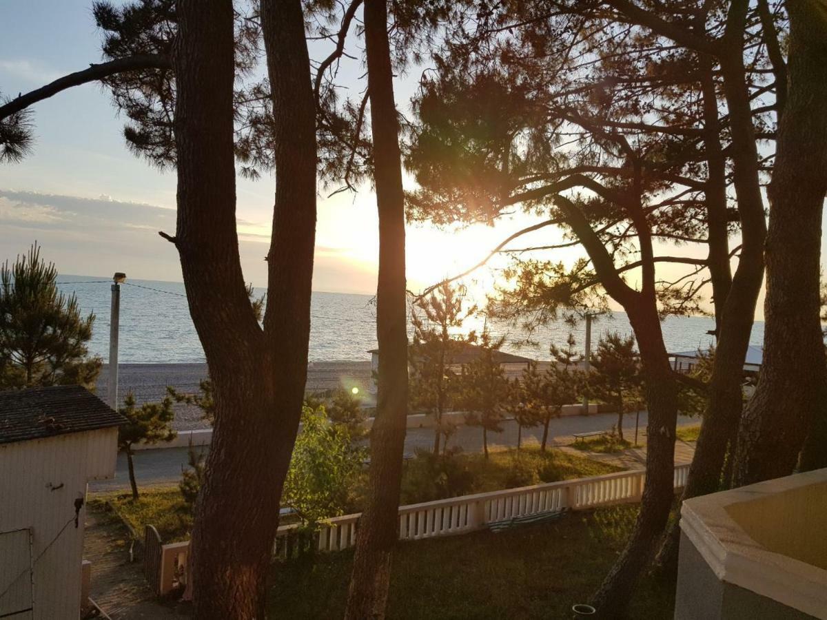Midia Guest House Kobuleti Dış mekan fotoğraf